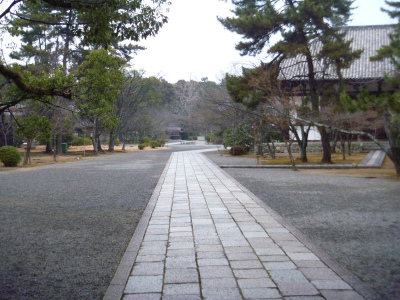 s015広隆寺.jpg