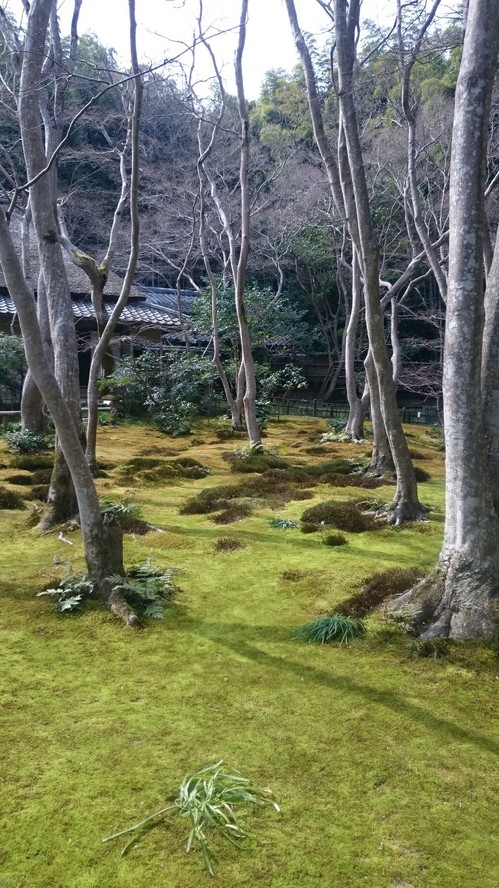 祇王寺3 (2).JPG